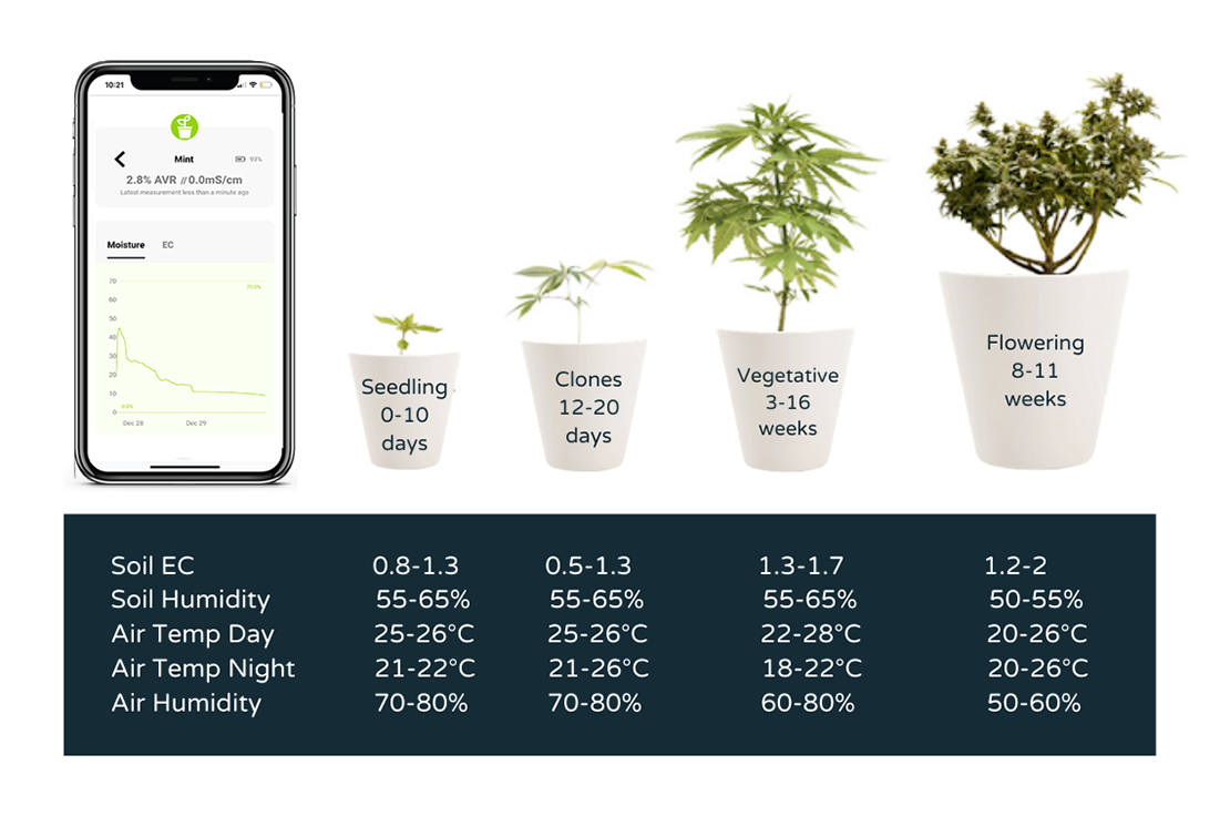 plant growth cycle with app