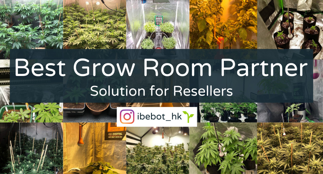 best grow room partner 1